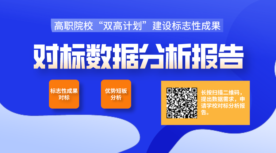 双高对标分析报告.png